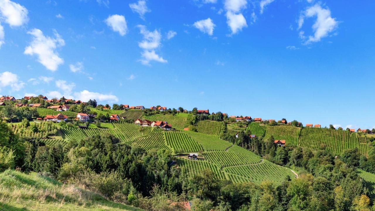 Steirerblicke- Chalet Hochgrailblick Teufenbach  المظهر الخارجي الصورة